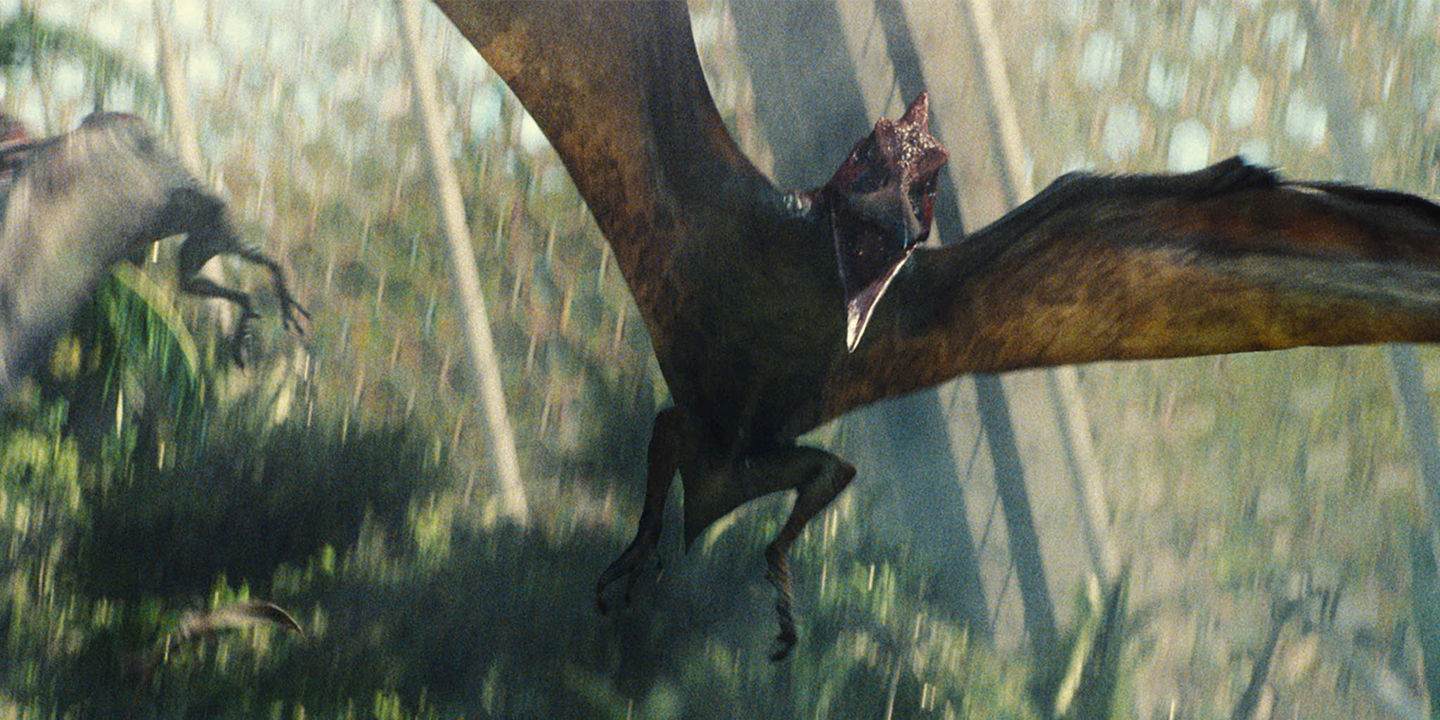 Aviary Pteranodon