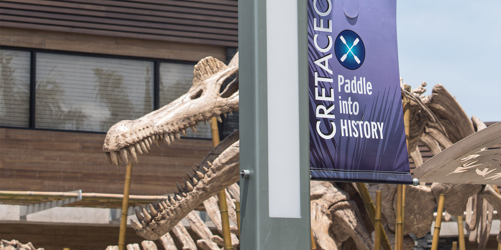 Cretaceous Cruise Banner