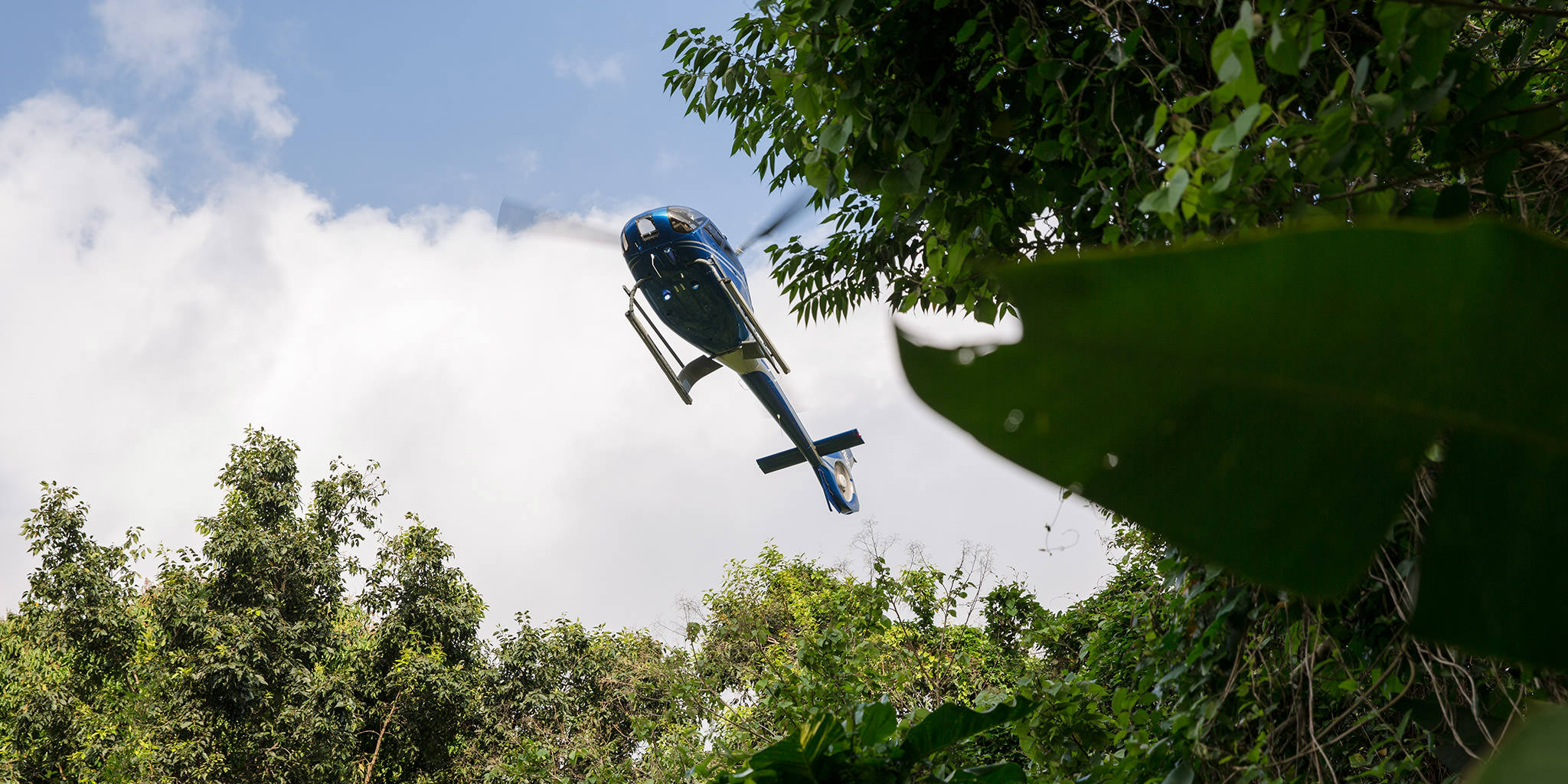 Helicopter Jungle