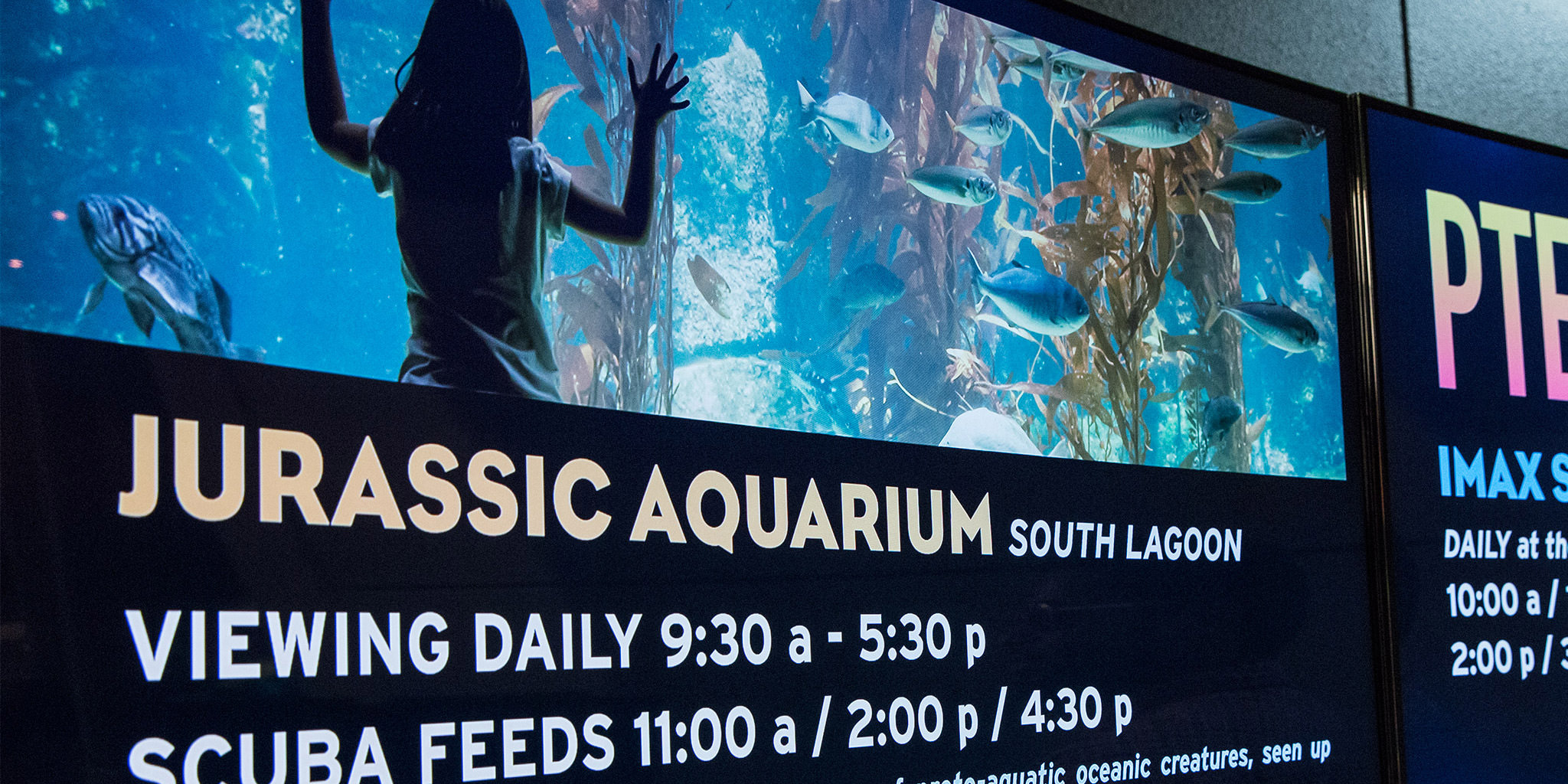 Jurassic Aquarium Schedule