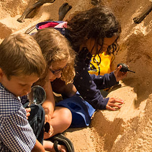 Kids digging for dinosaur bones